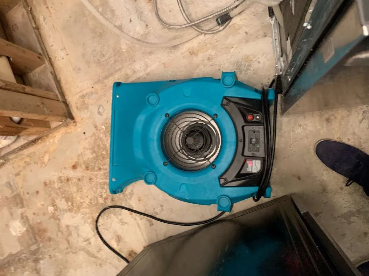 Air mover drying equipment for Mold Remediation & Removal in Sedro-Woolley