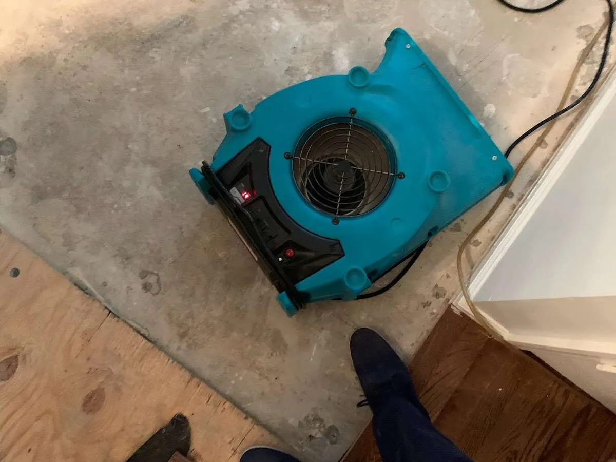 Air mover drying subfloor during Commercial Water Damage Restoration in Sedro-Woolley